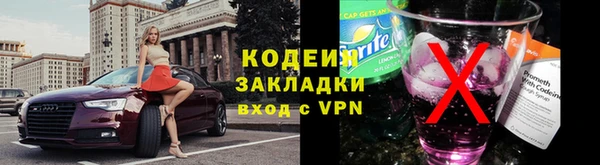 хмурый Алзамай