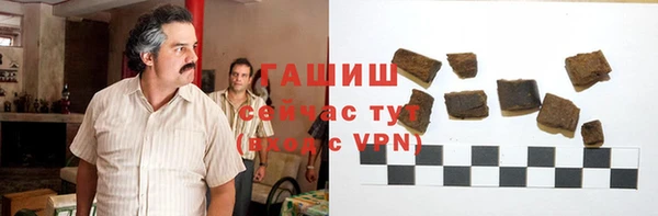 хмурый Алзамай