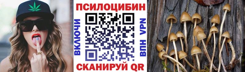 Купить где  Набережные Челны  Галлюциногенные грибы GOLDEN TEACHER 